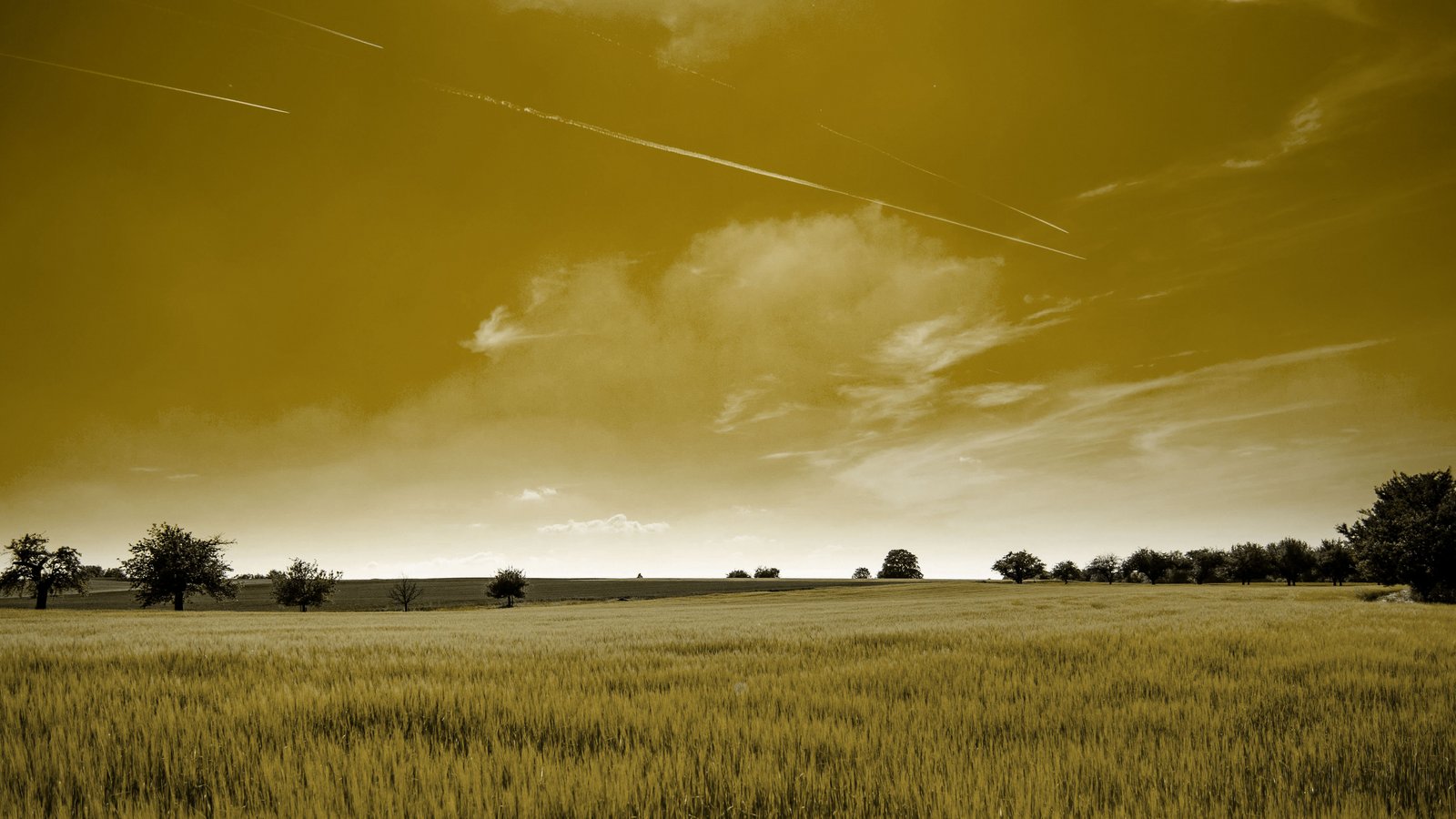 AWO Ortsverein Soest Panorama Fotografie eines weiten feldes in sepia